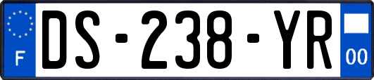 DS-238-YR