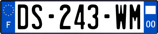 DS-243-WM