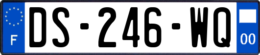 DS-246-WQ