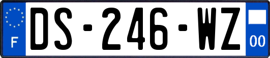 DS-246-WZ