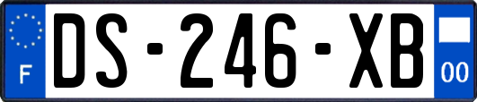 DS-246-XB