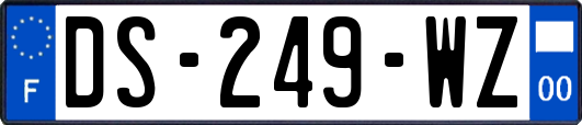 DS-249-WZ