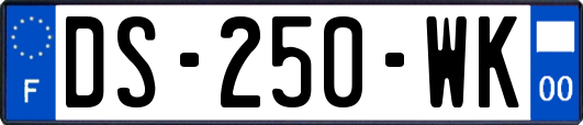 DS-250-WK