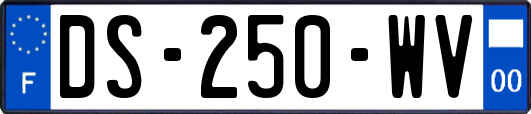 DS-250-WV