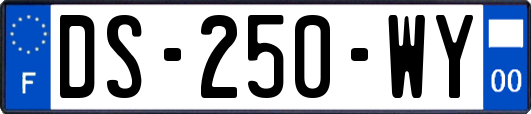 DS-250-WY