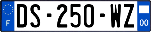 DS-250-WZ