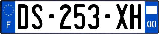 DS-253-XH