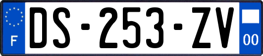 DS-253-ZV
