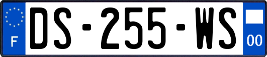 DS-255-WS