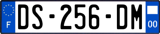 DS-256-DM