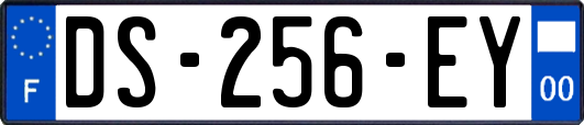 DS-256-EY