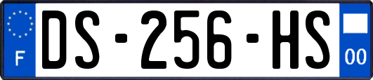 DS-256-HS