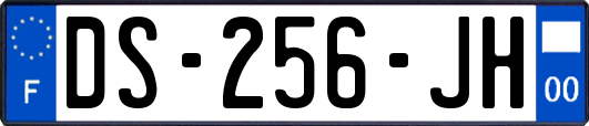 DS-256-JH