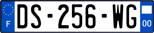 DS-256-WG