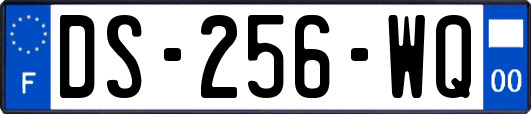 DS-256-WQ