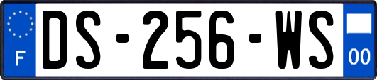 DS-256-WS