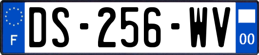 DS-256-WV