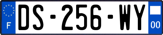 DS-256-WY