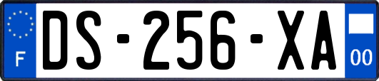 DS-256-XA