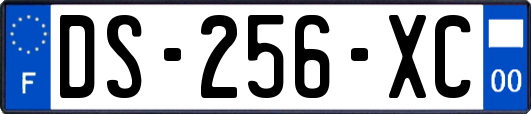 DS-256-XC