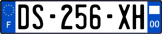 DS-256-XH