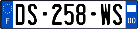 DS-258-WS