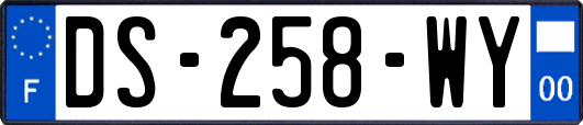 DS-258-WY
