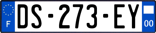 DS-273-EY