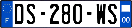 DS-280-WS