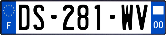 DS-281-WV