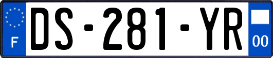 DS-281-YR