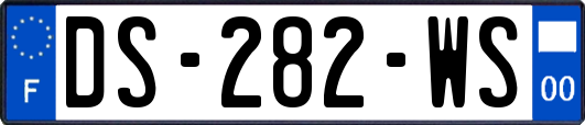 DS-282-WS