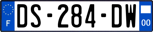 DS-284-DW