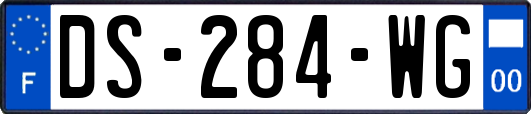 DS-284-WG