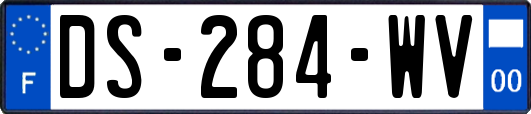 DS-284-WV