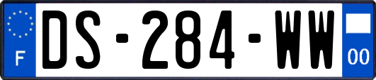 DS-284-WW