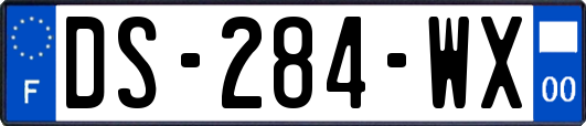 DS-284-WX