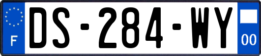 DS-284-WY
