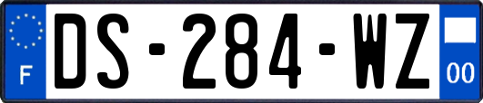 DS-284-WZ