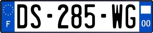DS-285-WG