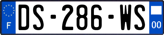 DS-286-WS
