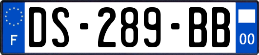 DS-289-BB