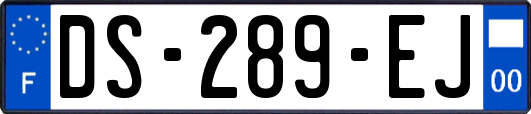 DS-289-EJ