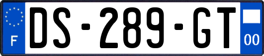 DS-289-GT