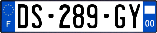 DS-289-GY