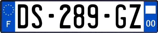 DS-289-GZ