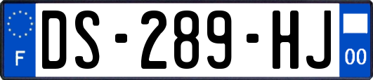 DS-289-HJ