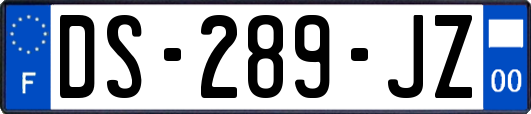 DS-289-JZ