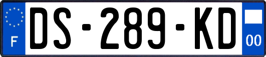 DS-289-KD