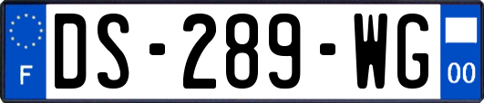 DS-289-WG